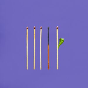 a burnout matches for creative burnout tangerine-newt-o04xDvWE33U-unsplash